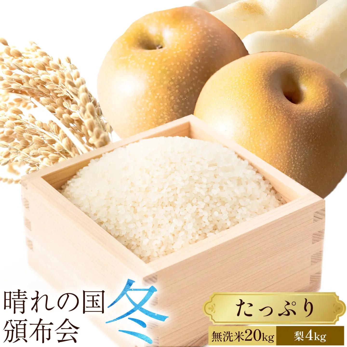 晴れの国頒布会 冬 たっぷり 無洗米 20kg 梨 4kg