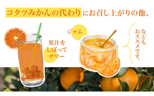大崎上島産 ポンカン 5kg ( 30～40個程度 ) ぽんかん 柑橘 みかん フルーツ 柑橘 蜜柑 お取り寄せ