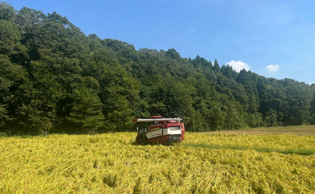 【コシヒカリ】 精米 5kg 元田農産 石川県 小松市産 こしひかり 5キロ
