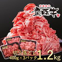 【ふるさと納税】宮崎和牛「齋藤牛」切り落とし1.2kg（400g×3パック）国産 牛肉 小分け 訳あり＜1.8-9＞