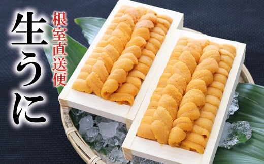
C-71004 エゾバフンウニ90～100g×2折
