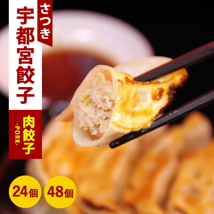 【ふるさと納税】【選べる内容量】肉餃子