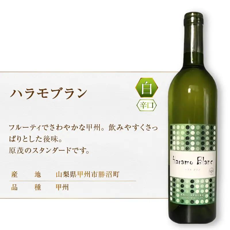 ワイン 原茂ワインのスタンダードワイン赤白２本セット（MG）B12-652