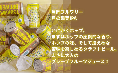 クラフト ビール 飲み比べ 350ml 6本 月岡 クラフト クラフト クラフト クラフト shinbo017
