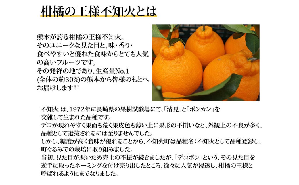 訳あり不知火5kg