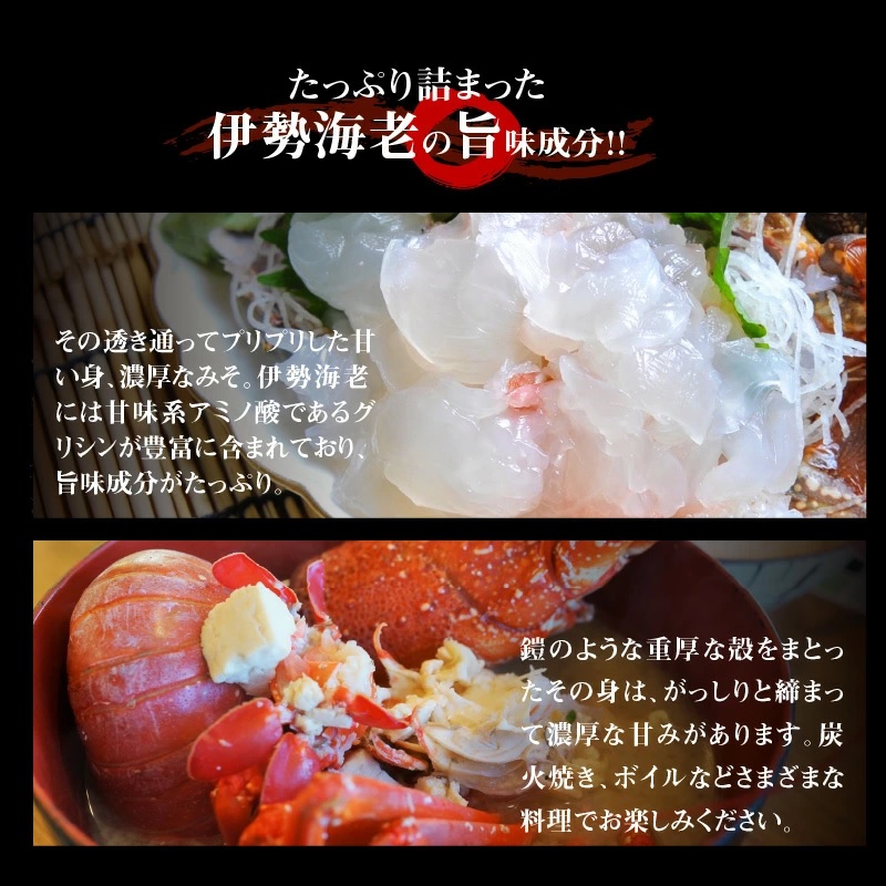 ■【漁師直送】活き〆冷凍 天然伊勢海老 600g （1～2尾）　W005-010u