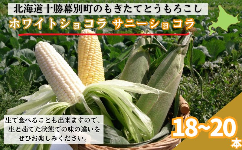 ［先行予約/2025年］もぎたてとうもろこし黄・白 計18～20本セット [北海道ホープランド農場]【 とうきび トウモロコシ とうもろこし 野菜 夏野菜 フルーツ 北海道 十勝 幕別 】