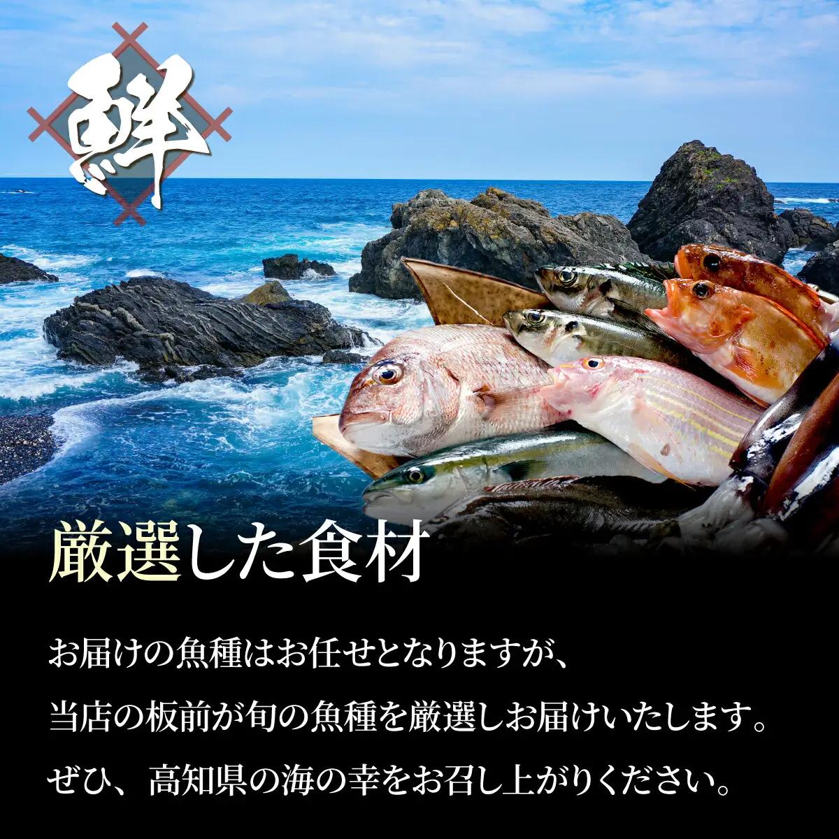 【3ヶ月 定期便】 初音自家製　室戸の海鮮漬け丼(旬魚)170g おかずに海鮮丼に茶漬けに