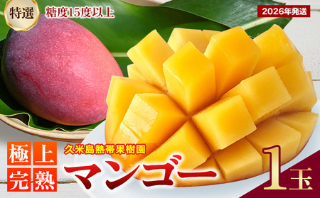 マンゴー【2026年発送】久米島熱帯果樹園「特選」極上完熟マンゴー1玉（450g以上）糖度15度以上 アーウィン