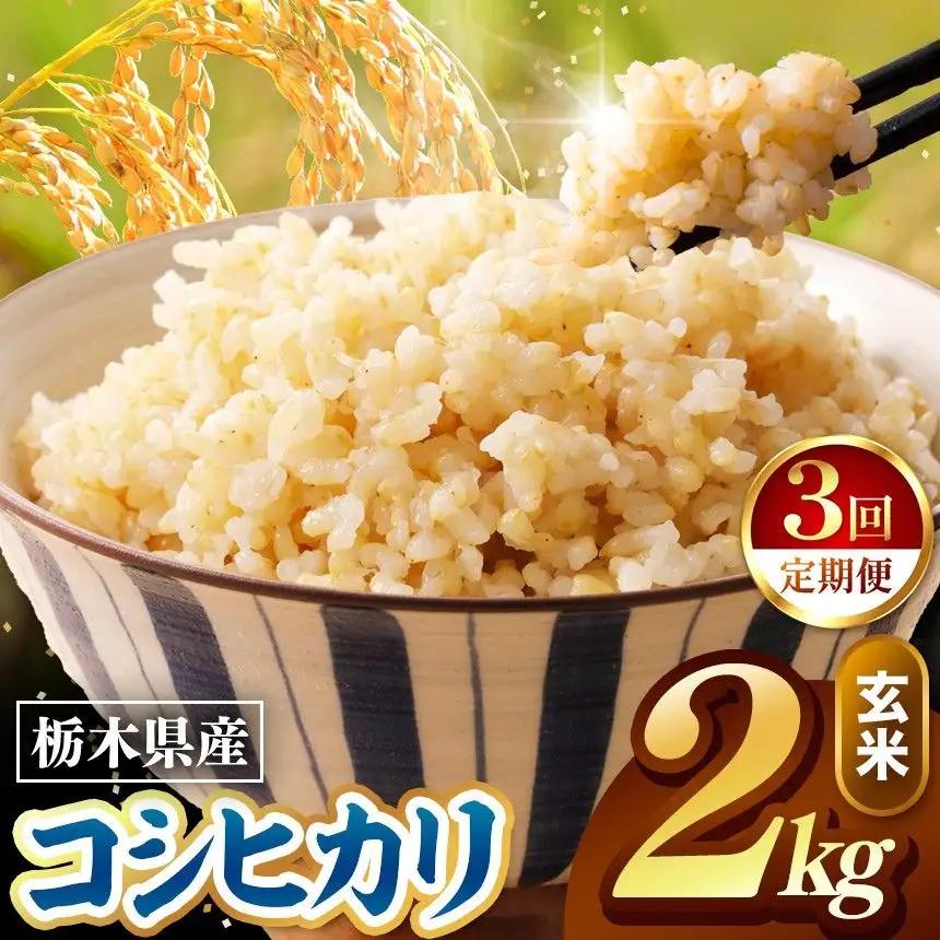 令和8年度産 先行予約 【定期便3回】こしひかり 玄米 約2kg