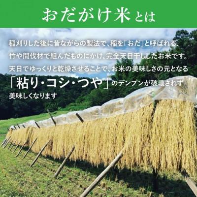 ふるさと納税 大子町 厳選大子米(おだがけ米) コシヒカリ 5kg 白米 |  | 01