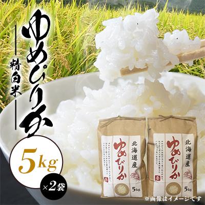 ふるさと納税 八雲町 【毎月定期便】【北海道八雲町熊石産】ゆめぴりか10kg(5kg×2袋)全6回