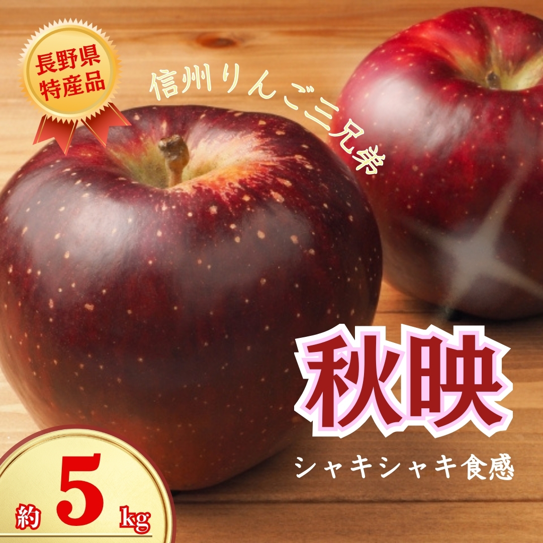 秋映 約5kg｜ 果物 フルーツ リンゴ 林檎 あきばえ 千曲市 長野県 信州