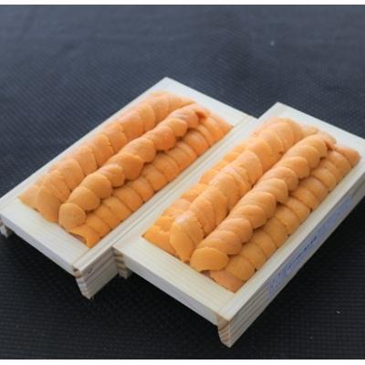 ふるさと納税 根室市 ムラサキウニ140g×2折 C-53007