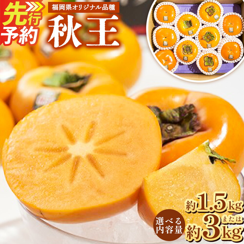 【ふるさと納税】＜選べる内容量＞ 福岡県産ブランド柿 秋王 約3kg ／ 約1.5kg （8-12玉／4-6玉） 福岡県 九州産 国産 先行予約 果物 秋の王様 オリジナルブランド 柿 甘柿 高糖度 甘い 種なし 送料無料 C21 A198 【2026年10月下旬-11月下旬発送予定】