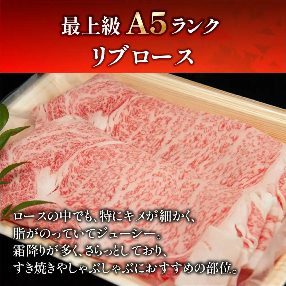 飛騨牛リブロースすき焼き 700g（5～6人分）【11-24】
