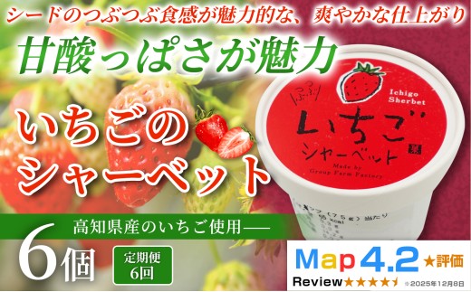 いちご シャーベット 36個 100ml×6個×6回定期便 アイスクリーム シャーベットアイス 人気 完熟 苺 イチゴ いちごアイス  果物 フルーツ 濃厚 お菓子 洋菓子  スイーツ デザート デザートカップ カップアイス ジェラート 手作り ホームパーティー バラエティ お取り寄せ おもてなし 詰め合わせ 贈り物 贈答 冷凍 ギフト プレゼント ロングセラー リピート 安芸市 高知県