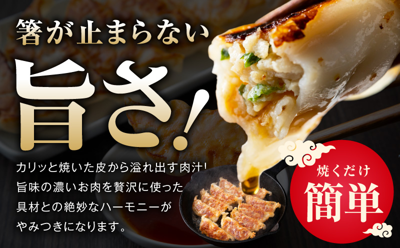 シン餃子 150個【手作り 小分け 25個×6P 惣菜 焼くだけ 簡単調理 おつまみ SDGS】 CFX0083