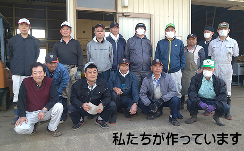 【令和7年産新米】【6ヶ月定期便】宮城県岩沼市産 志賀沢米 ひとめぼれ 精米2kg