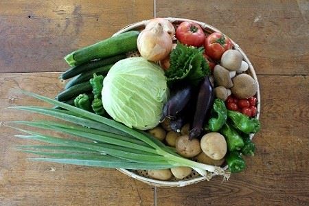 【京丹波の新鮮野菜】和知地区で栽培された旬の地場野菜おまかせ詰合せ  [010NA001]