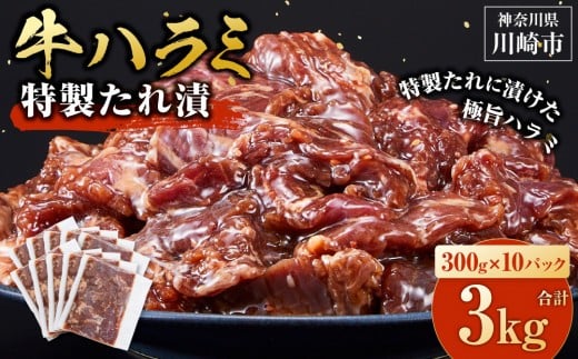 ＜訳あり＞牛ハラミ　特製たれ漬　3.0kg【12月発送】