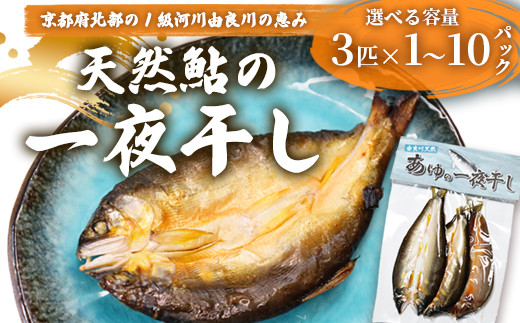
            天然鮎 一夜干し 1～10パック（3匹/パック）【 由良川漁協 あゆ 鮎 アユ 魚 魚介 川魚 海鮮 一夜干し 鮎の一夜干し 干物 天然 熟成 綾部 京都 】
          