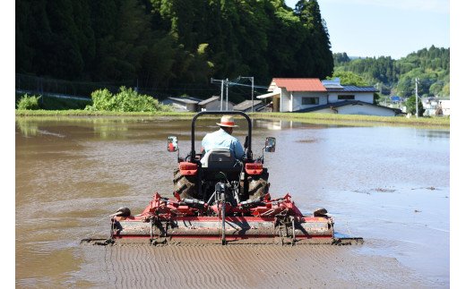 【予約受付】【3ヶ月定期便】令和8年産・新米 瑠璃米 10kg 予約 新米 3ヶ月 定期便 令和8年産 南小国産 米 白米 精米 5kg 2袋 お米 ご飯 産地直送 髙村農園 熊本 阿蘇 南小国町 送