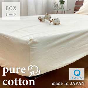 『クイーン』綿100％ブロード　BOXシーツ　キナリ　PUBX-Q
