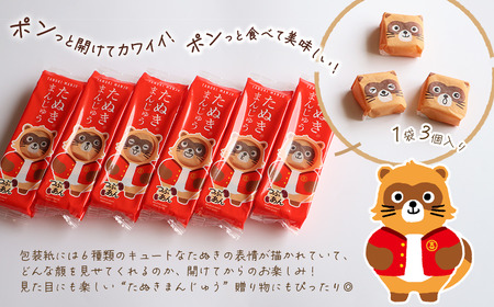 西条銘菓 「たぬきまんじゅう」 つぶあん プレーン 18個入　和菓子 スイーツ まんじゅう 饅頭 粒あん 小分け 個包装 一口サイズ