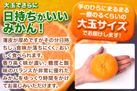  訳あり 大粒みかん 6kg 熊本県産 大玉みかん 訳ありみかん 傷 5L～3Lサイズ 《2025年1月中旬-2月末頃より出荷予定》 みかん たっぷり 熊本みかん 熊本県産みかん (荒尾市産含む) 熊
