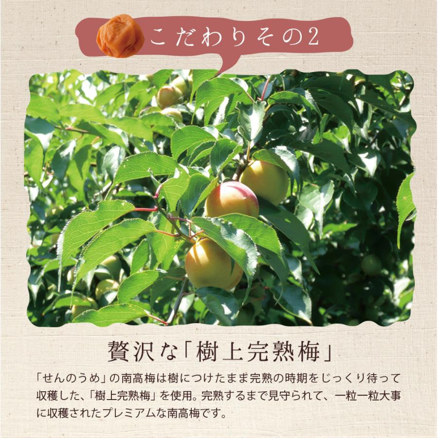 無添加梅干し 【A級品】紀州南高梅 紀州完熟白干し梅 1kg 塩分23％ / 南高梅 和歌山県産 天日塩 調味料不使用 添加物不使用 保存料不使用 熱中症対策 昔ながら しょっぱい梅 返礼品 ギフト 