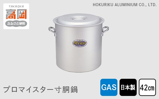 
            【ガス火用】プロマイスター寸胴鍋42cm FAD-1119
          