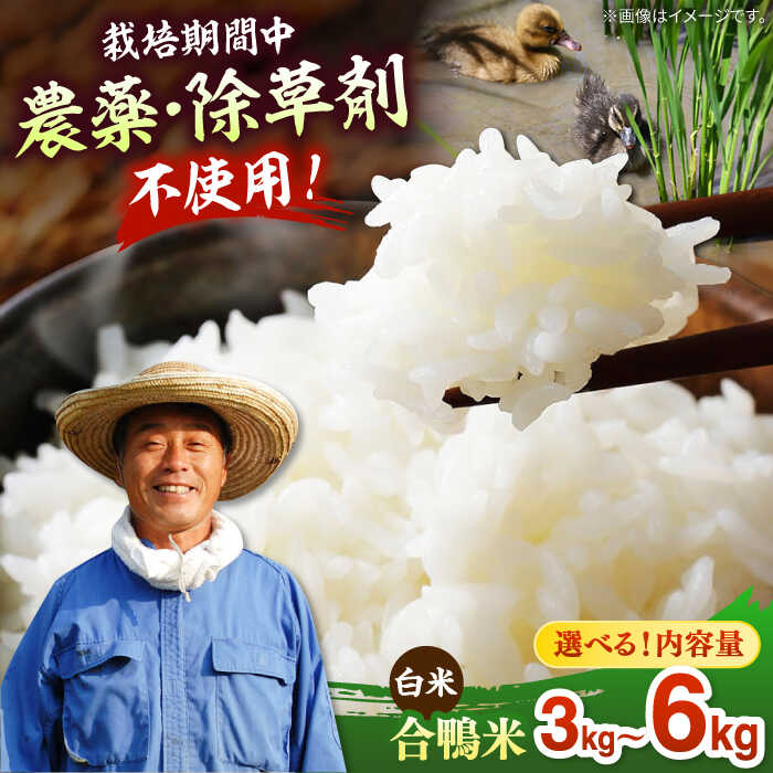 【ふるさと納税】【選べる容量】【令和7年産】古野農場の合鴨農法で作った 合鴨米（白米） 3kg / 6kg ▼無農薬 福岡産 令和7年産 おすすめ 農家直送 高評価 合鴨農法 白米 精米 桂川町/合鴨家族 古野農場[ADAL002] 15000 15000円 1万円 以上