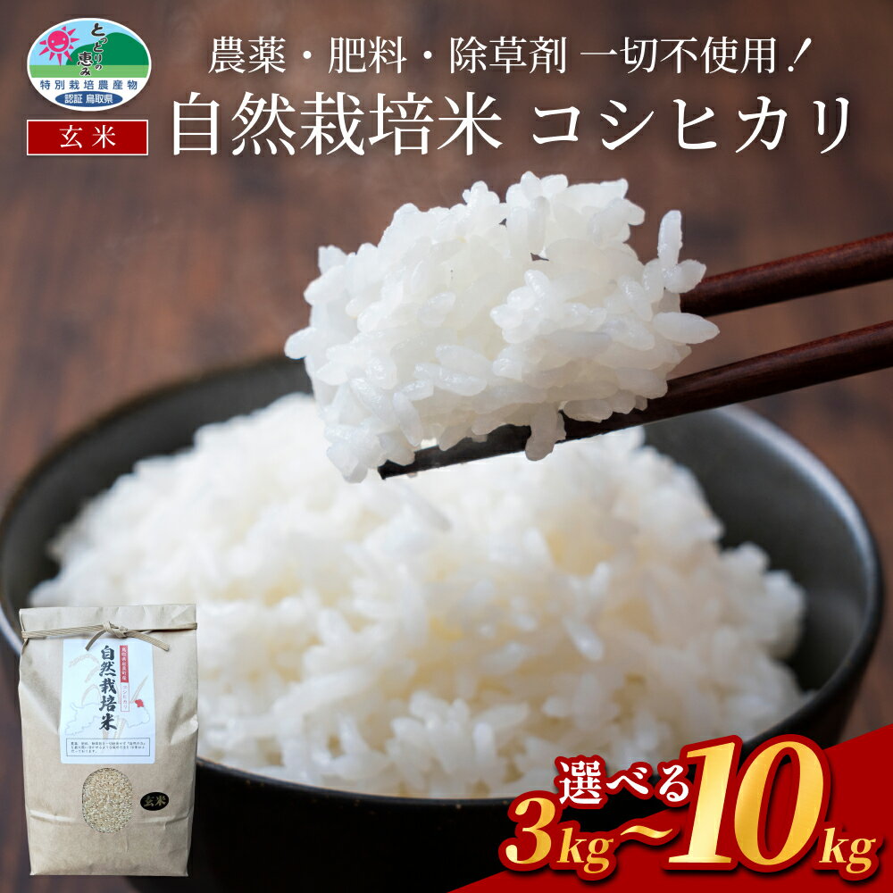 【ふるさと納税】岩美町産 自然栽培米 コシヒカリ（玄米）3kg～10kg｜鳥取 岩美町 自然 お米 米 玄米 選べる内容量 自然栽培 無農薬 無肥料 新米