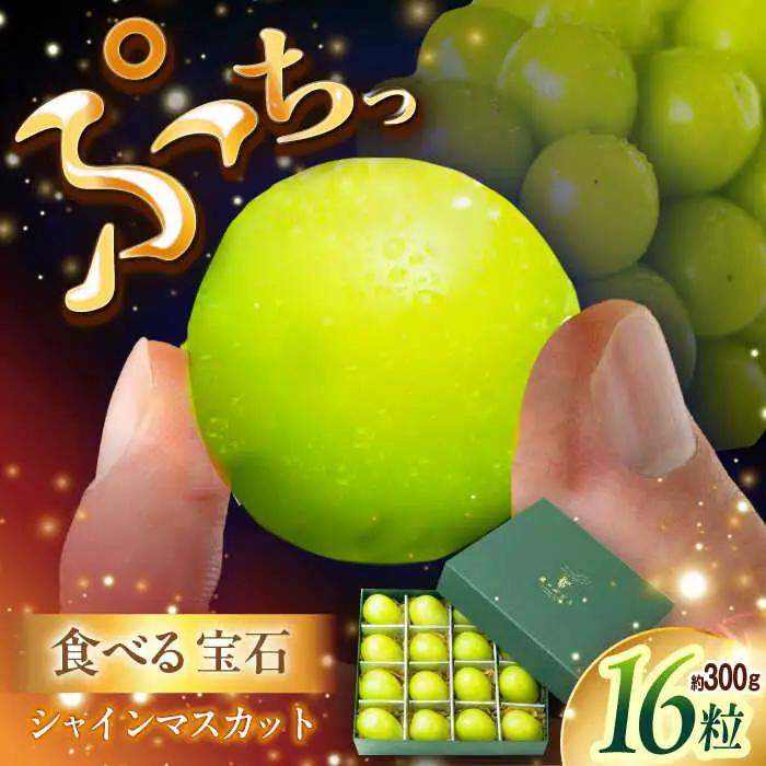 マスカット 【2026年先行予約】【25個限定】シャインマスカット ジュエリーBOX 16粒(約300g) [AIAB009] マスカット