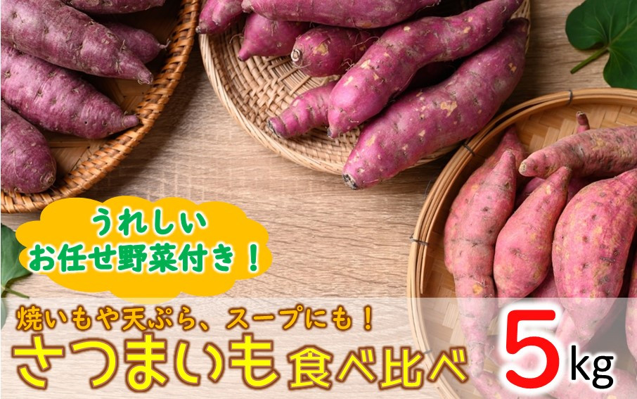 
            上田農園のさつまいも食べ比べセット5kgとユニーク野菜付き_2119R
          