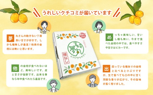 【先行予約】種なし きんかん「宮崎夢丸」 1kg 数量限定 種無し 果物 フルーツ くだもの 柑橘 金柑 プレミア おすすめ ギフト 贈り物 贈答 おやつ スイーツ デザート 糖度が高い 常温 産地直