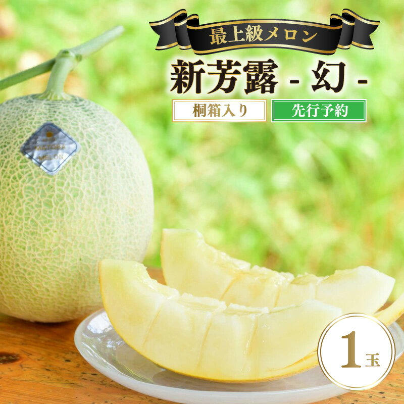 【ふるさと納税】【先行予約】 年間生産量200玉の最上級メロン「新芳露-幻-」（2025年7月下旬～発送） メロン 高級メロン ギフト プレゼント お祝い 桐箱入　贈答　丹後 京都 京丹後 厳選 めろん melon　原種
