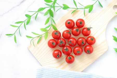 玉名市産 旬の新鮮ミニトマト 1000g | 野菜 ミニトマト とまと 熊本県 玉名市