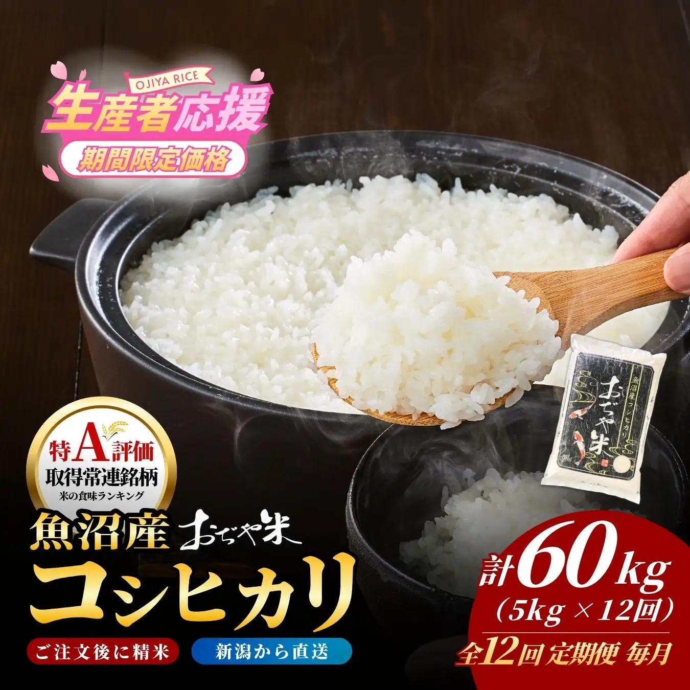 魚沼産コシヒカリ 令和7年 定期便 60kg おぢや米 5キロ×12回  小千谷市 コシヒカリ