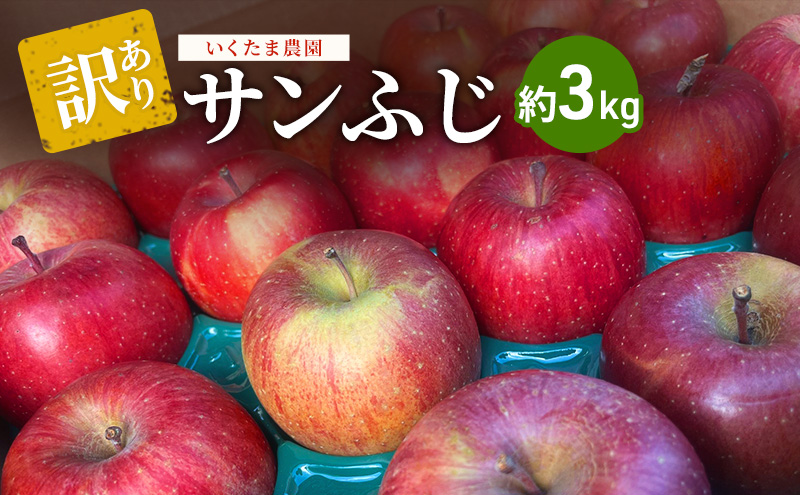 【訳あり】サンふじ　約3kg リンゴ りんご フルーツ 果物 お取り寄せ 長野県 山ノ内町