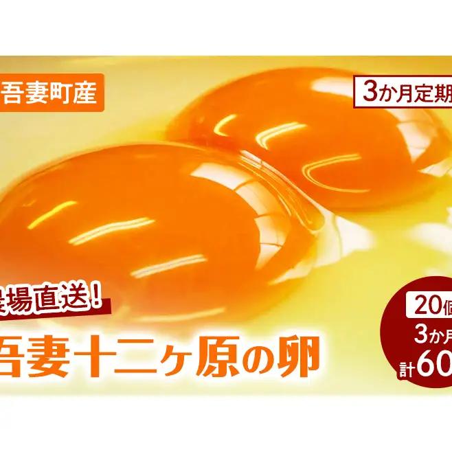 卵吾妻十二ヶ原の卵堀田養鶏場二黄卵卵【20個】【定期便3ヶ月】