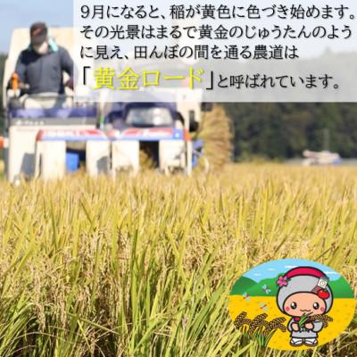 ふるさと納税 中島村 【新米/令和7年産】中島村産『コシヒカリ』(精米)5kg |  | 02