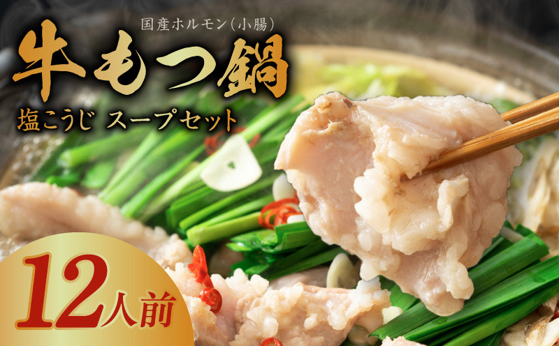 099H3151 牛もつ鍋セット 12人前【国産 牛肉 ホルモン 塩こうじ スープ付き モツ 鍋 高評価 冷凍 鍋セット 簡単調理】