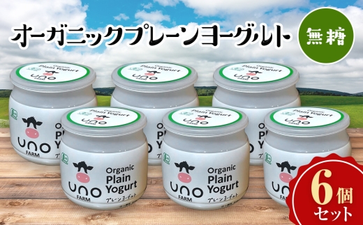 【定期便4ヶ月】オーガニックプレーンヨーグルト（無糖）6個セット