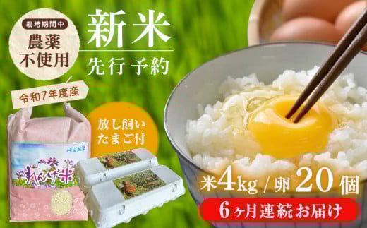 【全6回定期便】【令和7年度米】4kg・放し飼いたまご20個セット ヒノヒカリれんげ米 元気たまご【浅田峠自然塾】 [EA21]