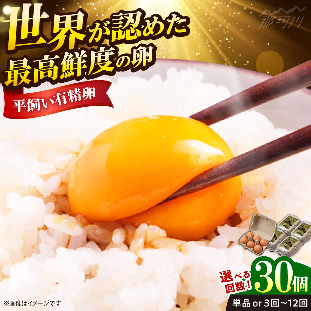 【ふるさと納税】【選べる回数】【TVで紹介！鮮度AA級の世界最高ランク！】金太郎卵 平飼い たまご 30個（6個×5パック）＜有限会社 フジノ香花園＞那珂川市 | 卵 定期便 たまご 平飼い 卵かけご飯 ご飯のお供 割れ保証 [GAM006]