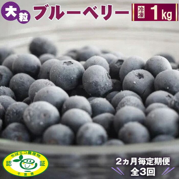 【ふるさと納税】No.052 ＜2ヵ月毎定期便＞大粒冷凍ブルーベリー1kg「るりしずく」　全3回 ／ 定期的 新鮮 果物 果実 フルーツ ブランド 朝摘み 完熟 みずみずしい スムージー トッピング 朝食 おやつ デザート 間食 子供 贈答用 チャック付 送料無料 千葉県