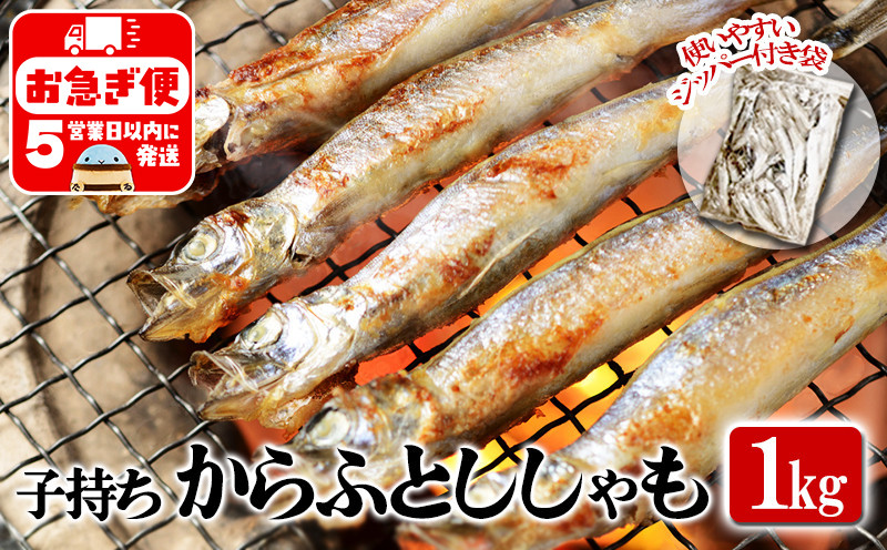 
                  A1-1808／冷凍 子持ち からふとししゃも 1kg
                