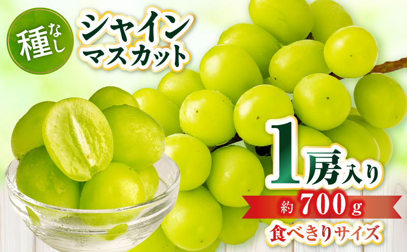 【食べきりサイズ】シャインマスカット　約700g | シャインマスカット マスカット ぶどう ブドウ 葡萄 果物 フルーツ 新鮮 くだもの 国産 ギフト お裾分け 旬 人気 種なし 皮ごと食べられる 